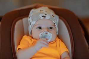 Best Car Seat Travel Bag