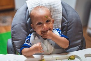 Best Toddler Meal Ideas Quick